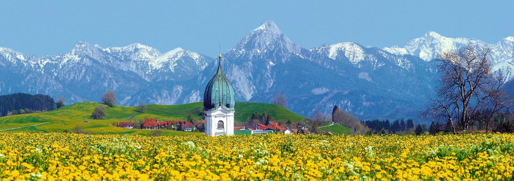 Nesselwang im Frühling